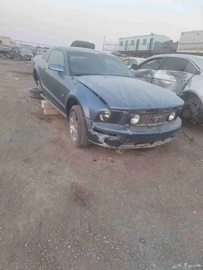 موستنج تيشليح 0