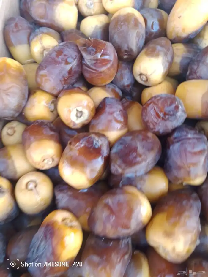 تمر جلكسي مفتل 3