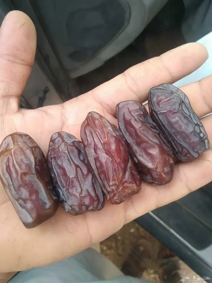 خضري الغاط الكميه يمكن 20طن 0