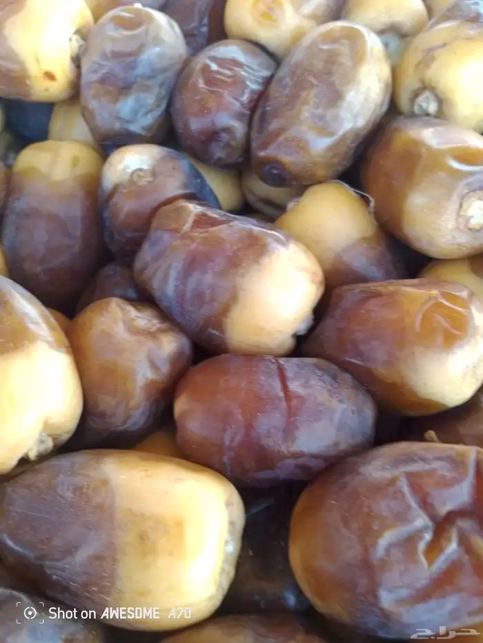 تمر جلكسي مفتل 2