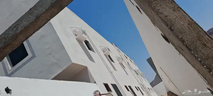 طارد الحمام شبك واشواك حمام بالمدينة المنورة 8