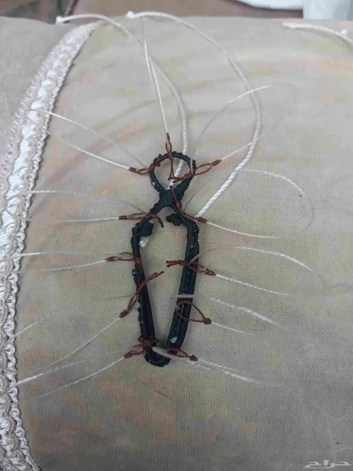 شبك لطرح الصقور 0