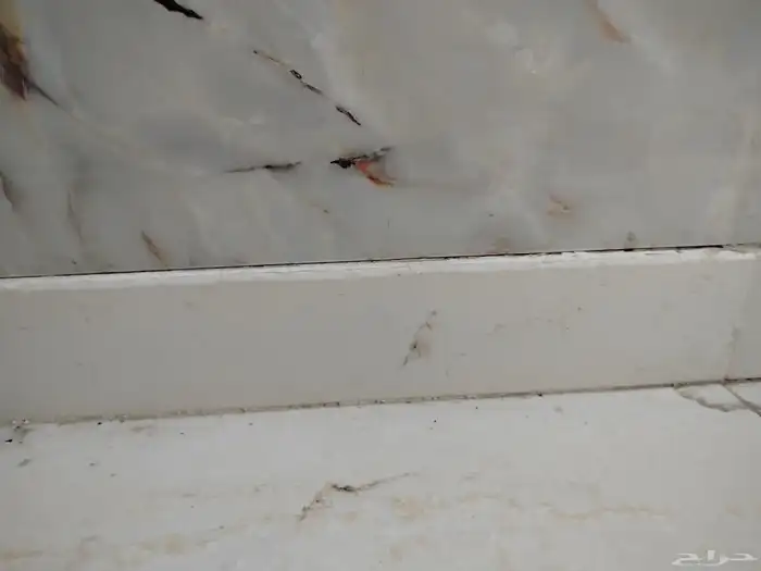 بلاط نعله أو سكلو بريالين والمزخرف ب4 1
