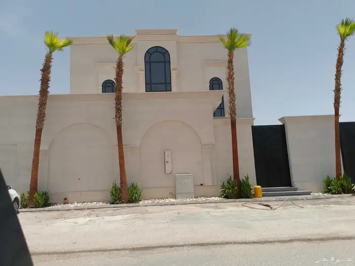 نخل واشنطن أمريكي ونخل عربي مثمر واشجار سرو 7