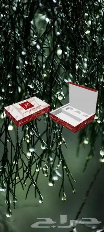 بوكسات واكياس ورقيه 5