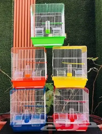 شبك عصافير ملون شبه جديده 4