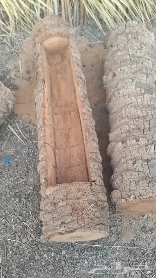 ماركنات من جذوع النخل 4