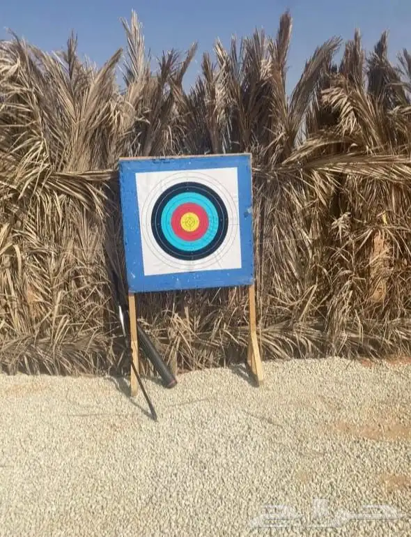 تاجير العاب ترفيه 3