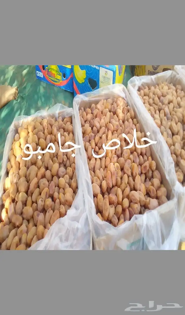 خلاص فاخر جامبو 1