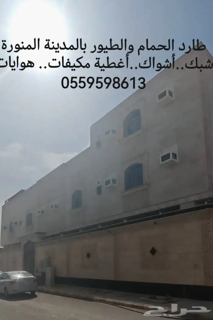 طارد الحمام شبك واشواك حمام بالمدينة المنورة 2