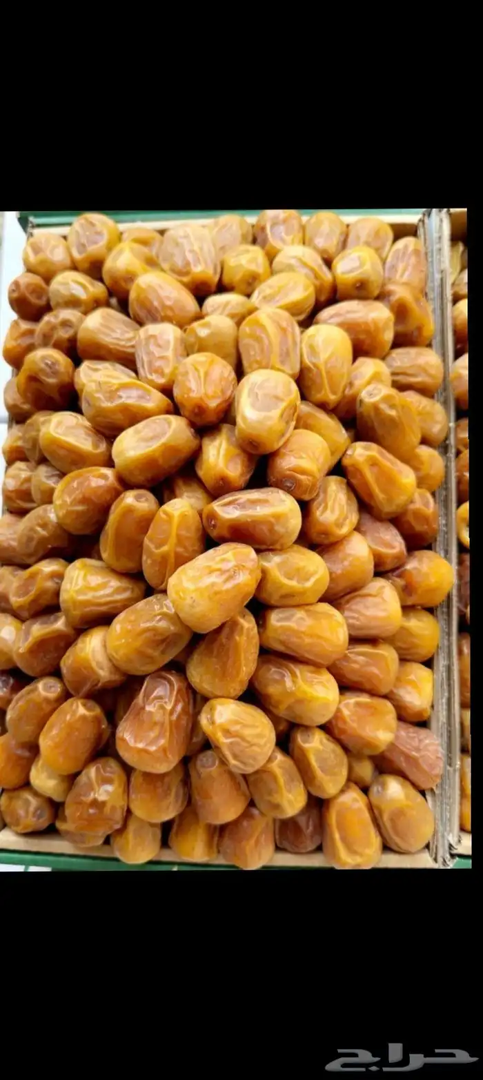 تمور مفتل رطب جلاكسي 4
