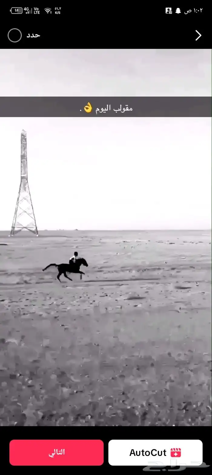 مهر شعبي عمره سنتين ومعروف الاسم دهام والتواصل واتساب 050395 0