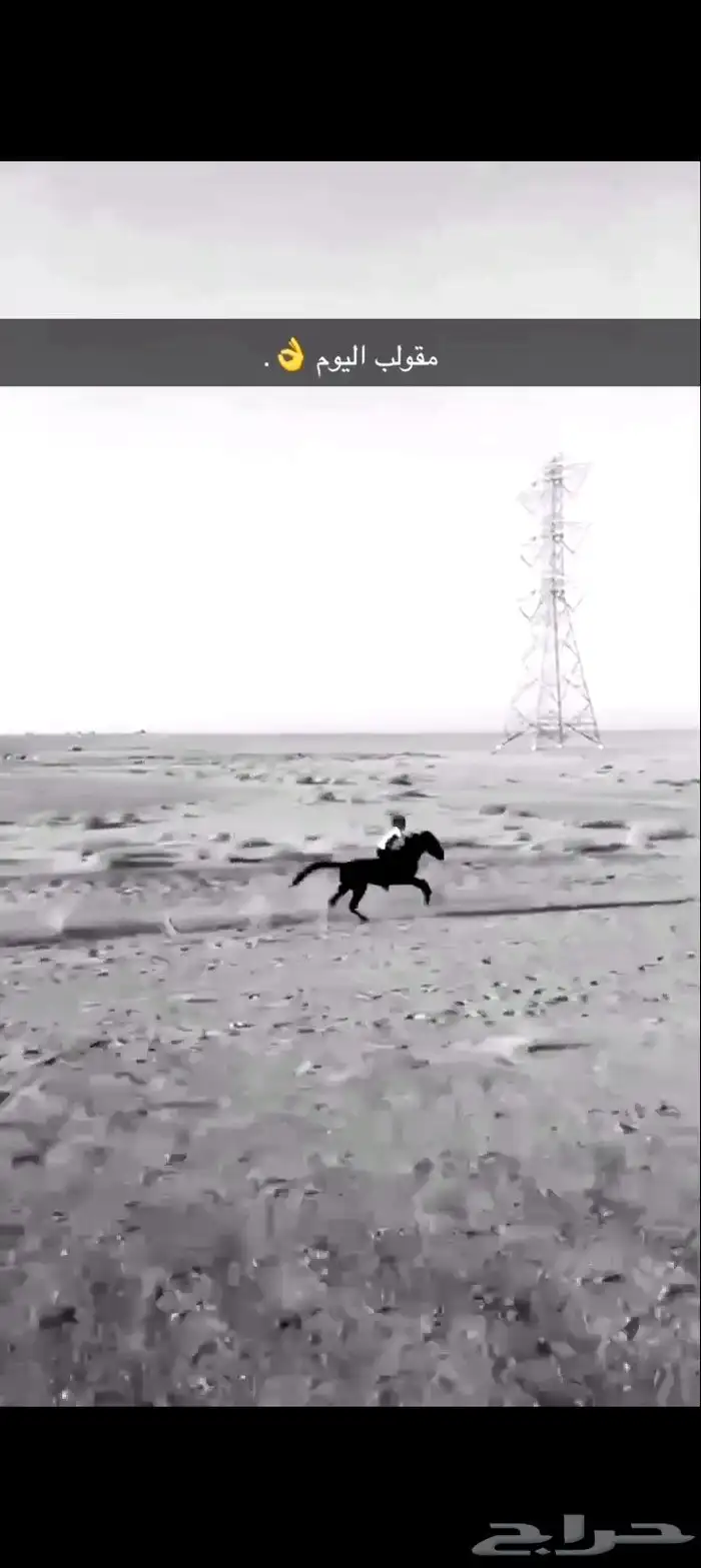 مهر شعبي عمره سنتين ومعروف الاسم دهام والتواصل واتساب 050395 2