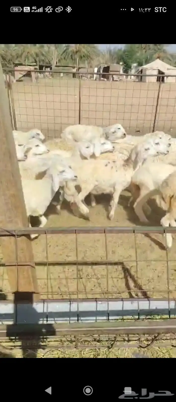 بهم. للبيع. مشروع مقاني. رخال 1