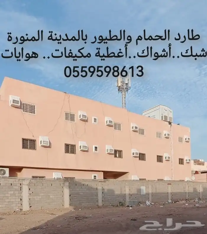 طارد الحمام شبك واشواك حمام بالمدينة المنورة 0