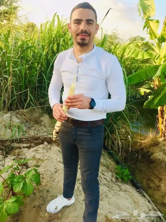 شلالات عمل نوافير تنسيق حدائق الأحساء مهندس ابو هاله 7
