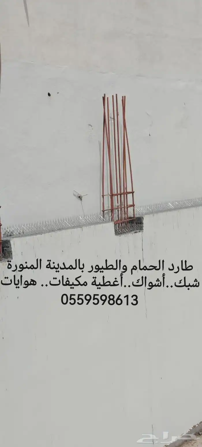 طارد الحمام شبك واشواك حمام بالمدينة المنورة 1