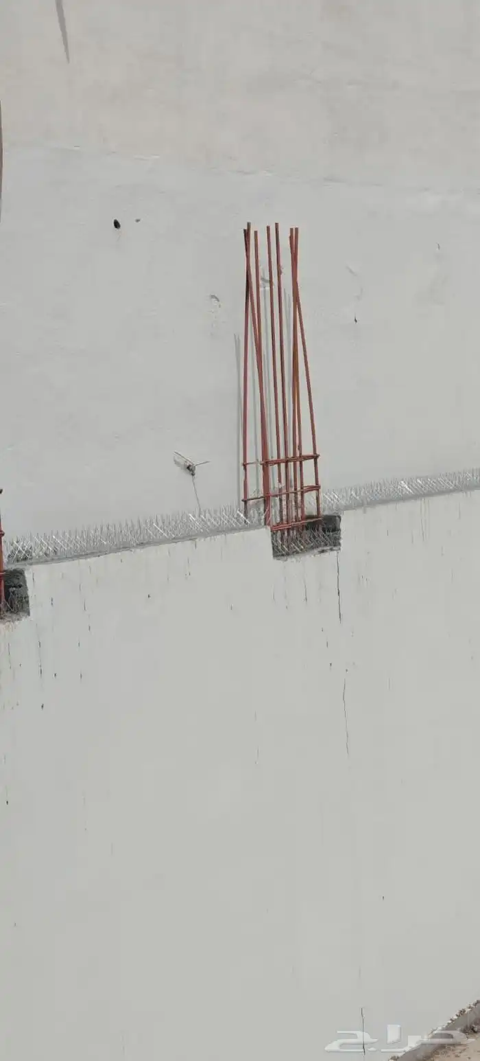 طارد الحمام شبك واشواك حمام بالمدينة المنورة 3