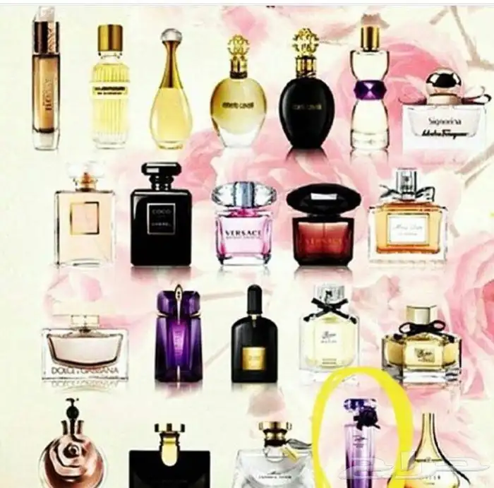 عطور ميني الصغيرة متوفرة جميع الماركة 0