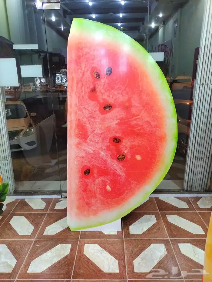 مجسمات فلين 5