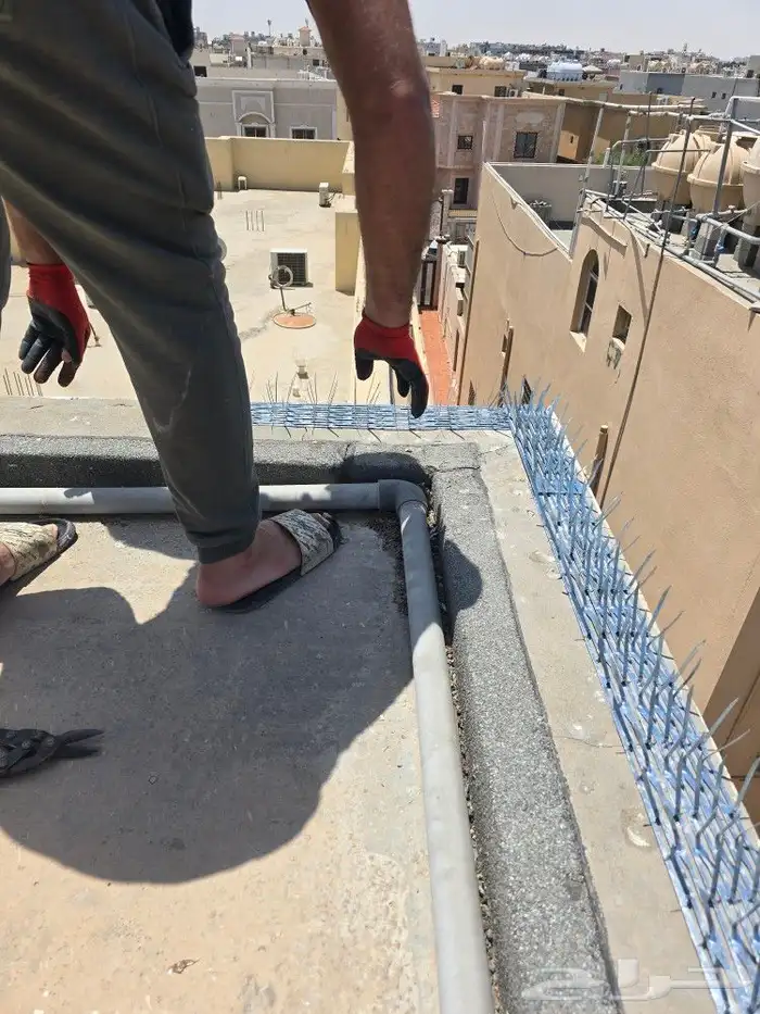 شركة تركيب طارد حمام مكافحة حمام شبك حمام بيع شحن طارد حمام 1