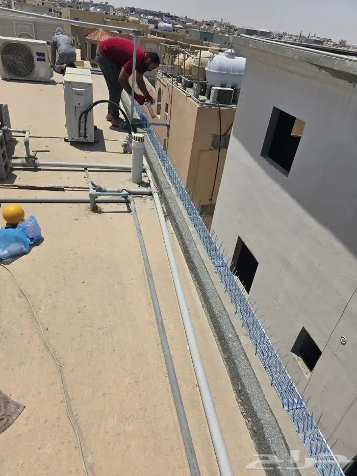 شركة تركيب طارد حمام مكافحة حمام شبك حمام بيع شحن طارد حمام 3