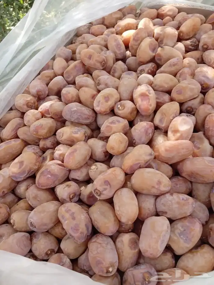 يوجد لدينا تمور فاخره للبيع اخلاص 2