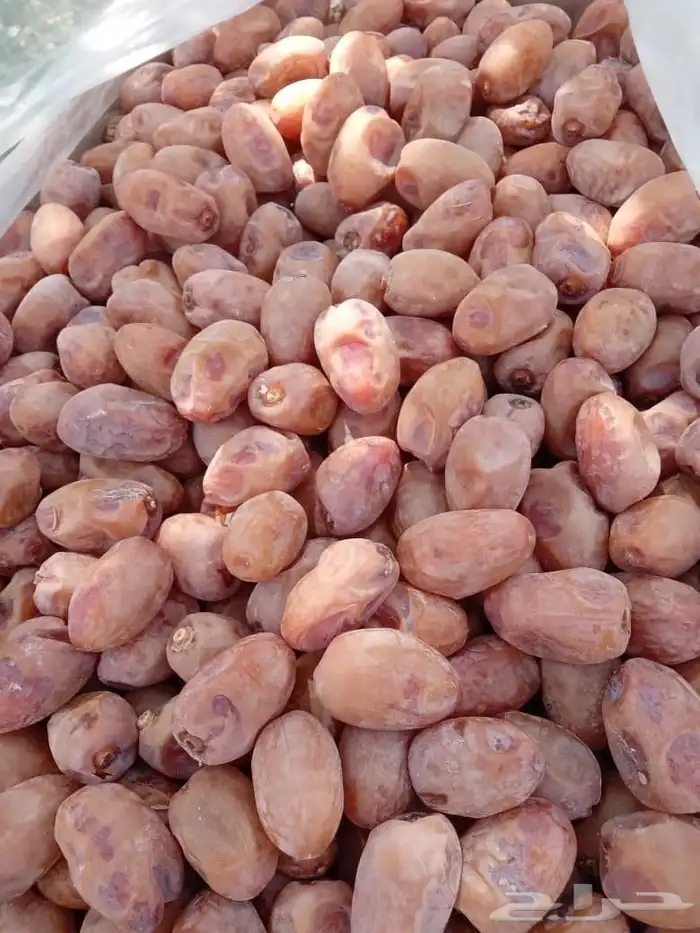 يوجد لدينا تمور فاخره للبيع اخلاص 1