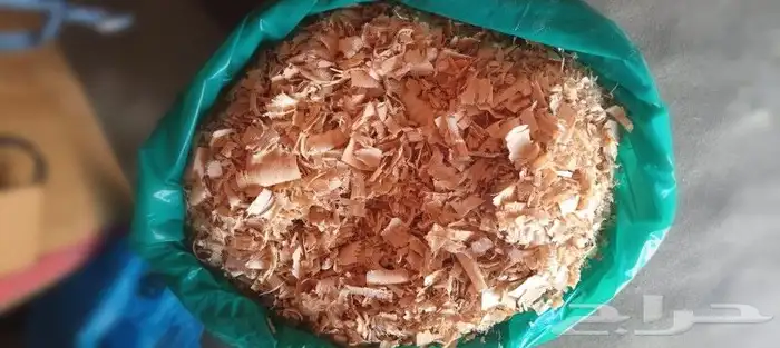 نشارة خشب 2