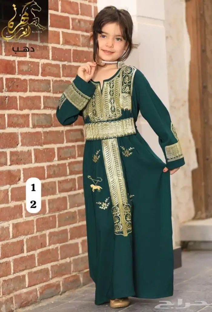 عرض95للعيد الوطني 3