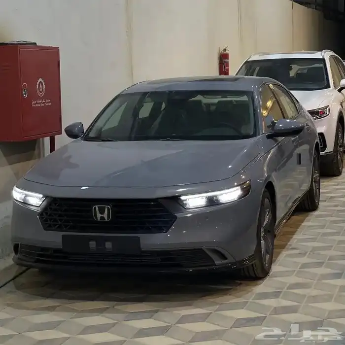 اكورد نص فل 2025. اسمنتي. 3