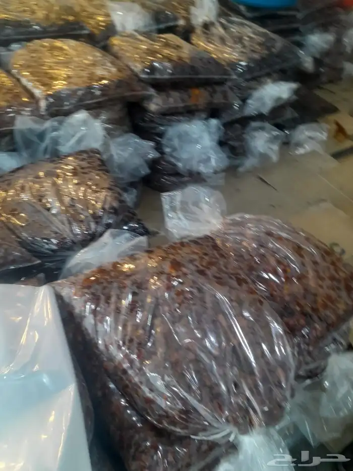 تمور حائل الفاخره 9