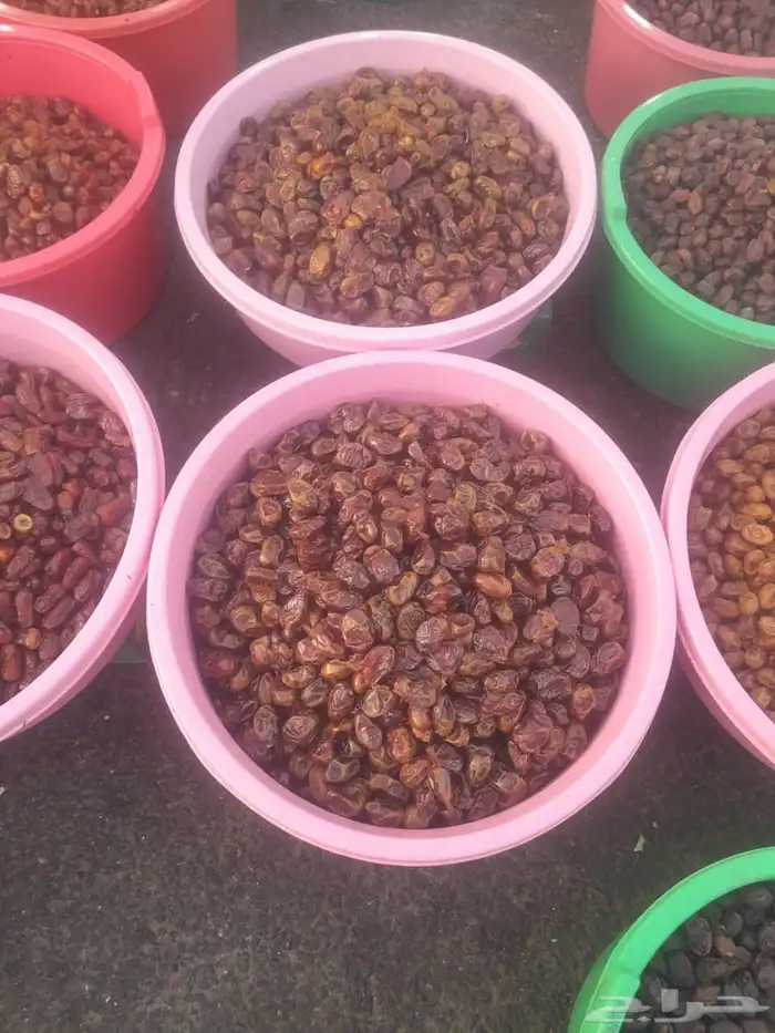 تمور حائل الفاخره 7