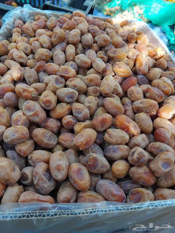 سلام عليكم اليوم عندنا اتمر حبه طيبة وفخخر الموقع القرنه ساج 2