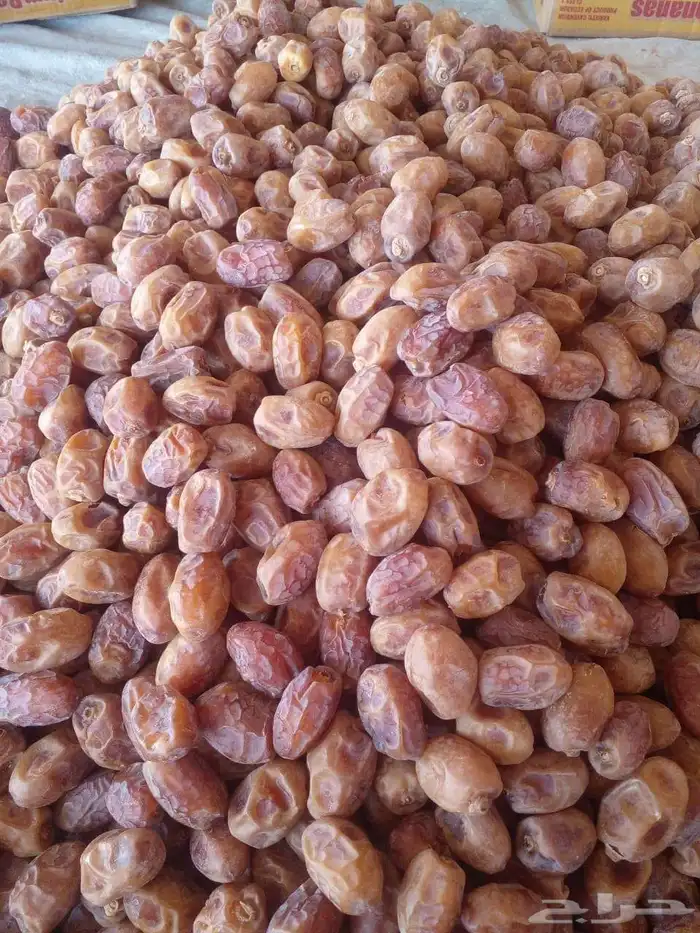 تمور القرنه الفاخره 0