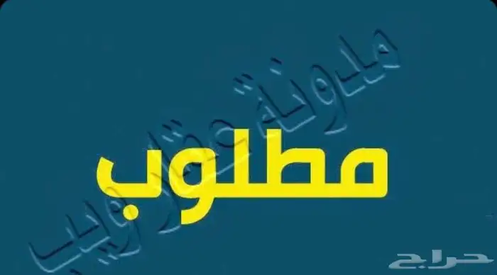مطلوب أراضي بالقطيف 0