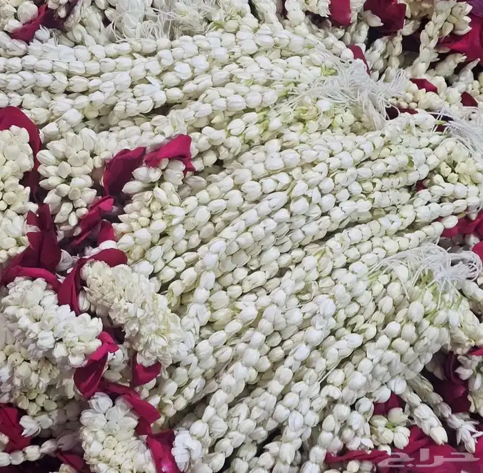 محل فل ورد الرياض تنسيق مهرجانات حفلات تواصل وتساب 39