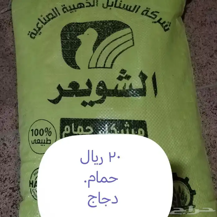 اكل قطط رمل قطط اكسسوارات 10