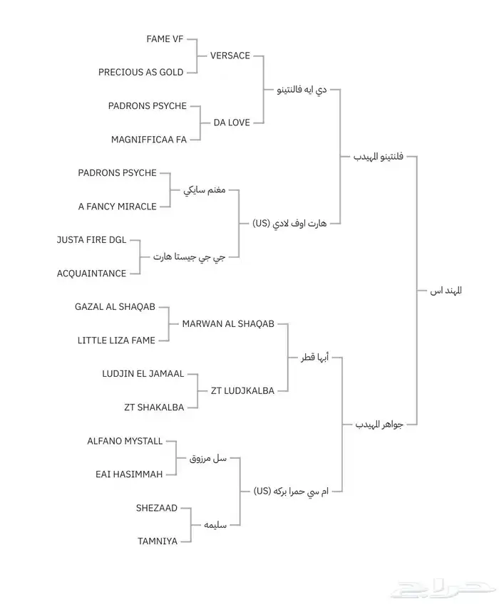 للبيع حصان دماء جمال اسود كحل 4