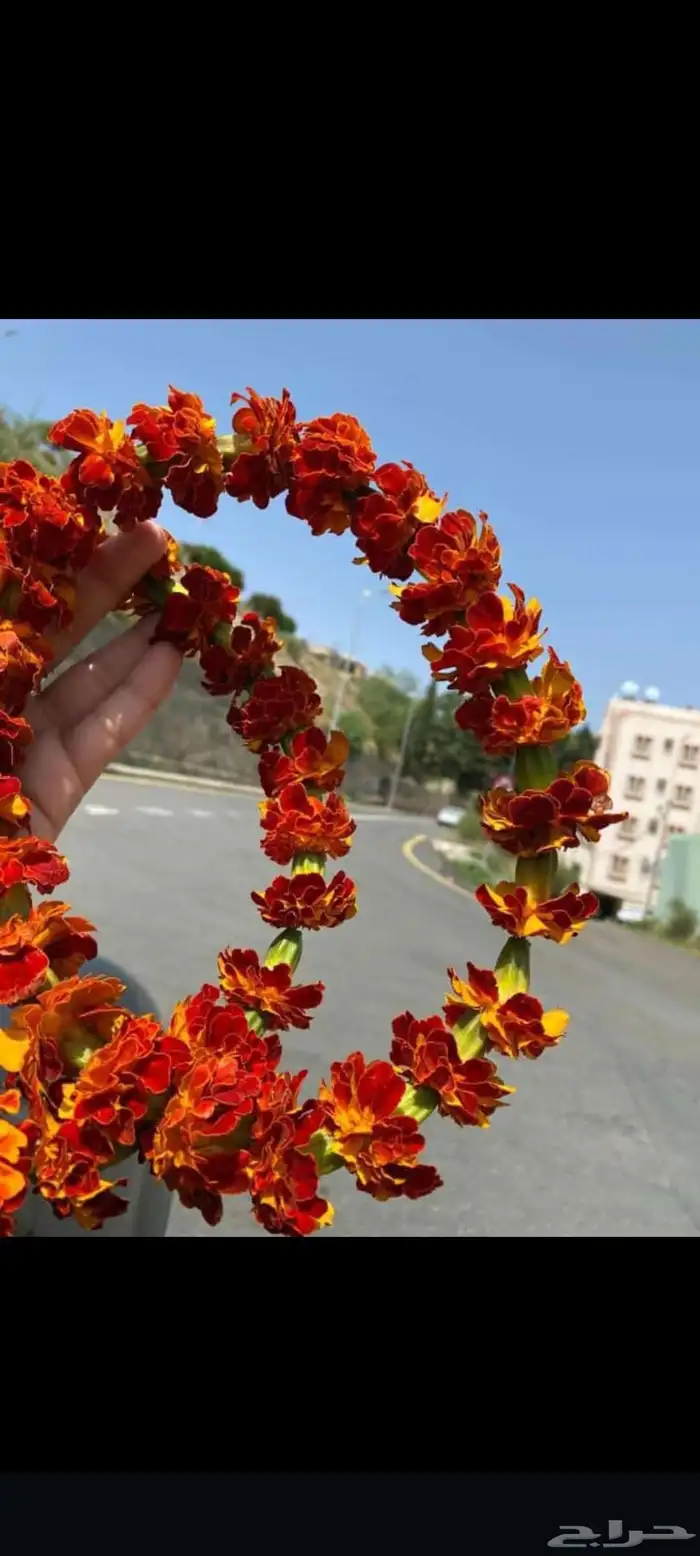 محل فل ورد الرياض تنسيق مهرجانات حفلات تواصل وتساب 44