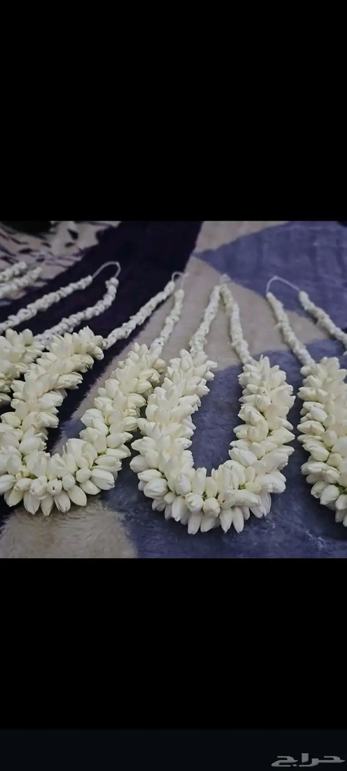 محل فل ورد الرياض تنسيق مهرجانات حفلات تواصل وتساب 18