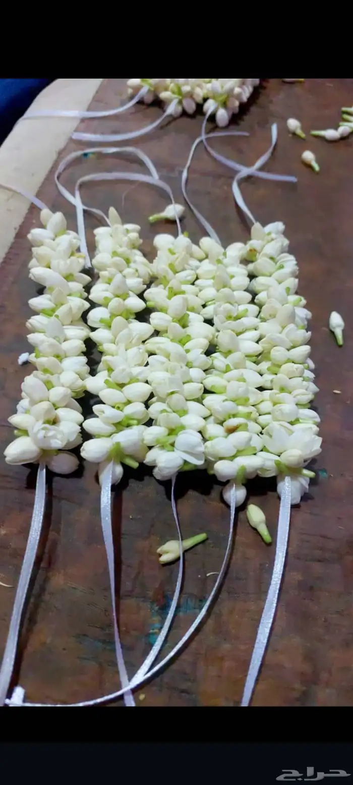 محل فل ورد الرياض تنسيق مهرجانات حفلات تواصل وتساب 40