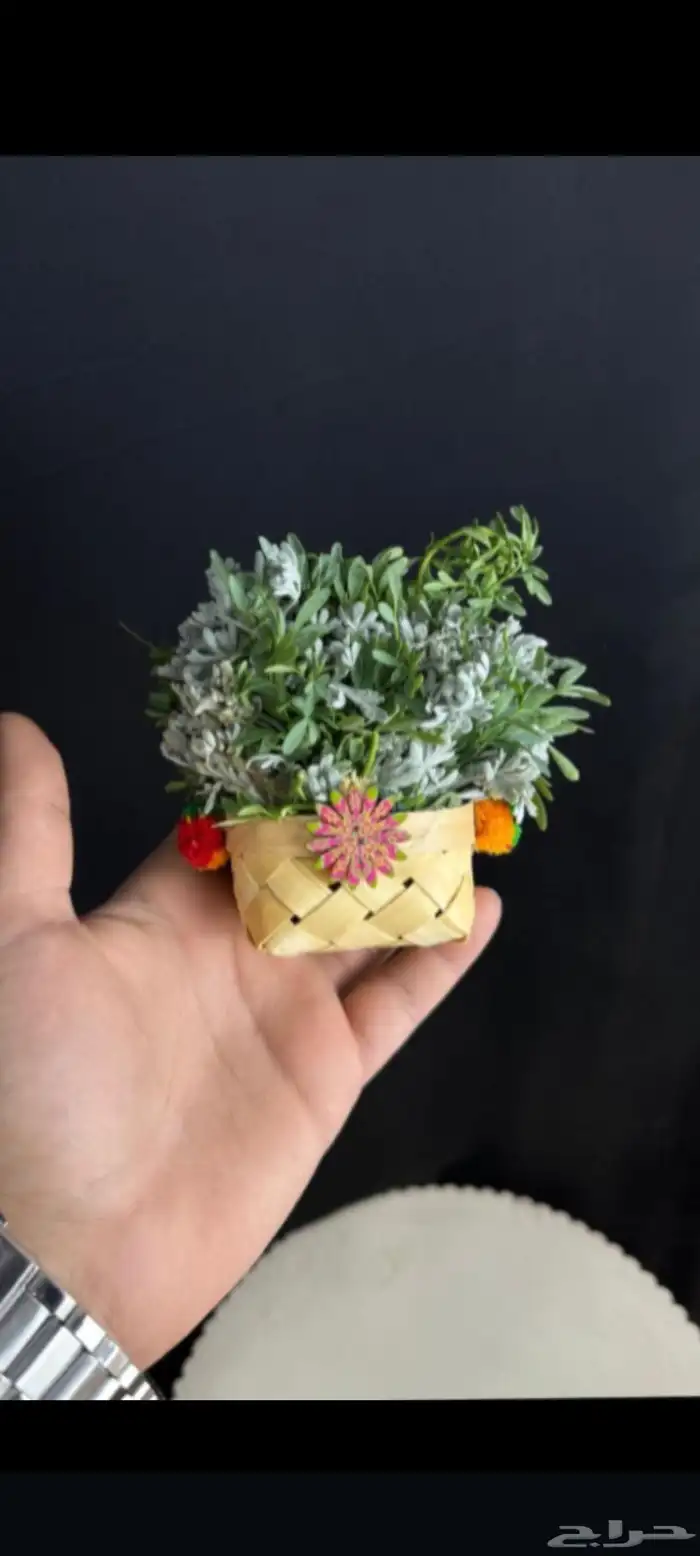 محل فل ورد الرياض تنسيق مهرجانات حفلات تواصل وتساب 7