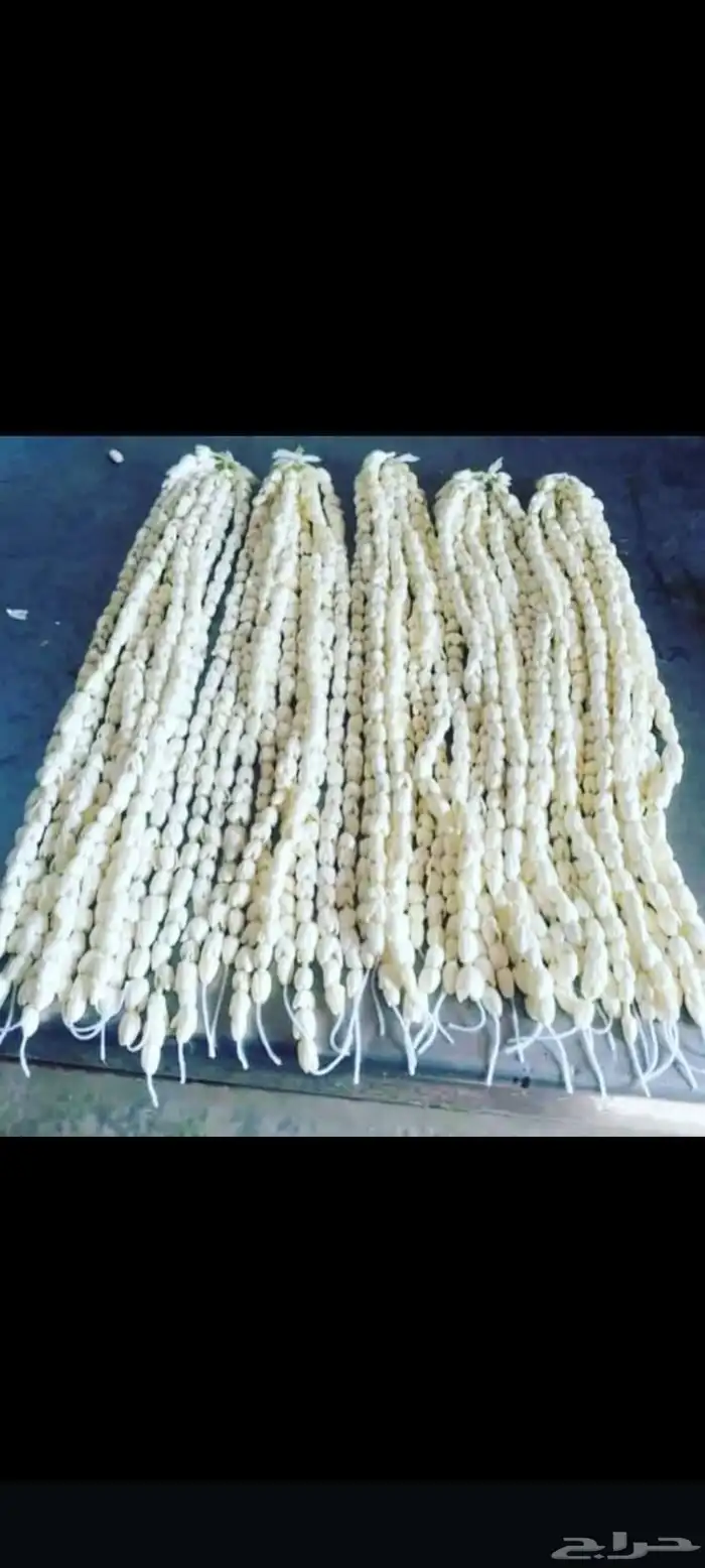 محل فل ورد الرياض تنسيق مهرجانات حفلات تواصل وتساب 2