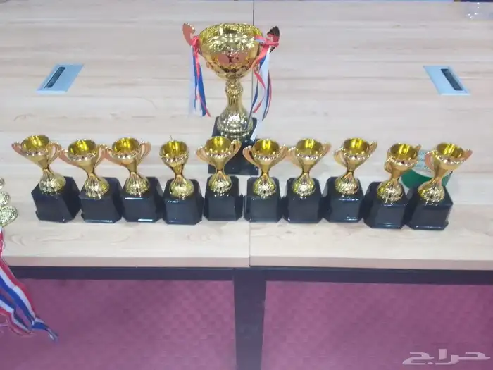 مدرب سباحة لجميع الأعمار 7