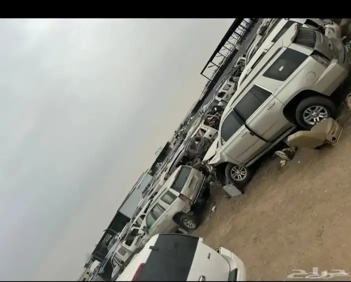 امريكي 8
