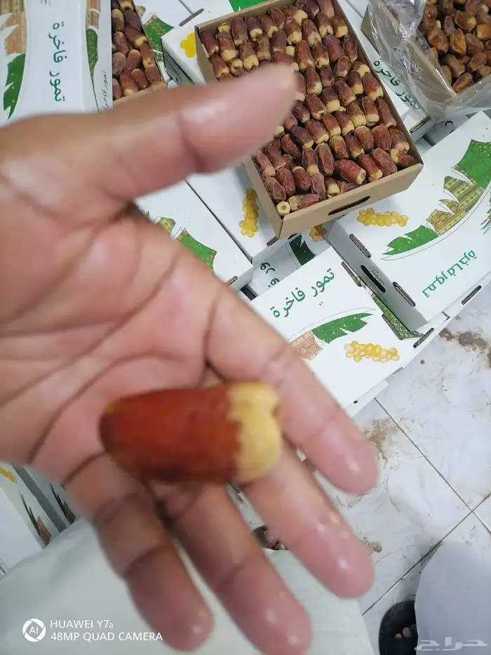 تمر صقعي فاخر للتواصل 1