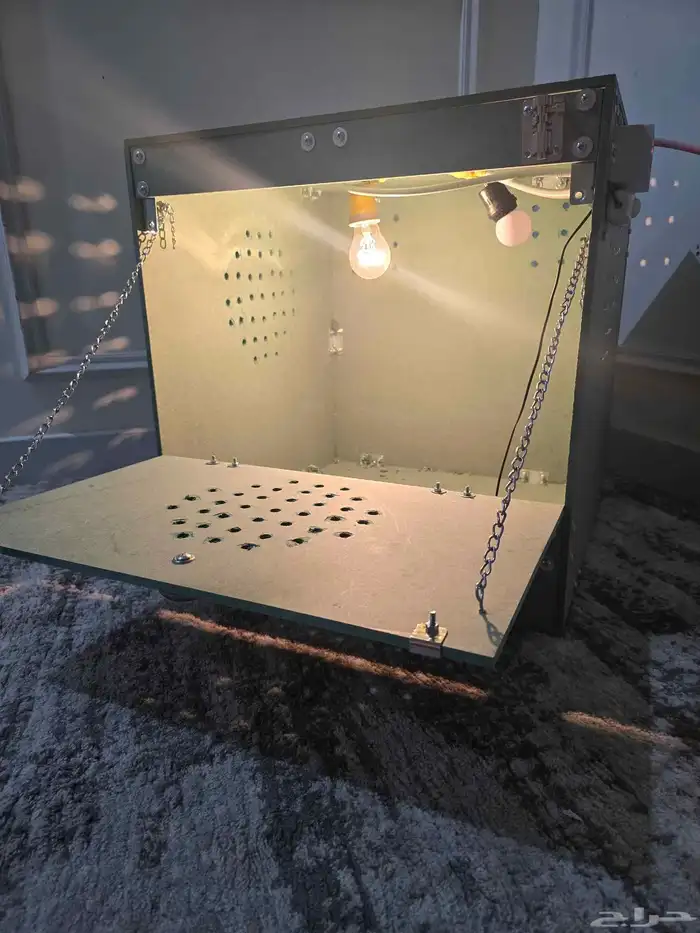 حضانة فروخ تماتيك ( روز كنيور كاسكو كروان وغيرها ) 3