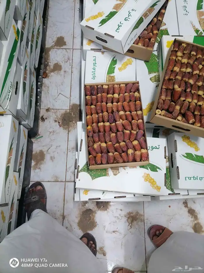 تمر صقعي فاخر للتواصل 0