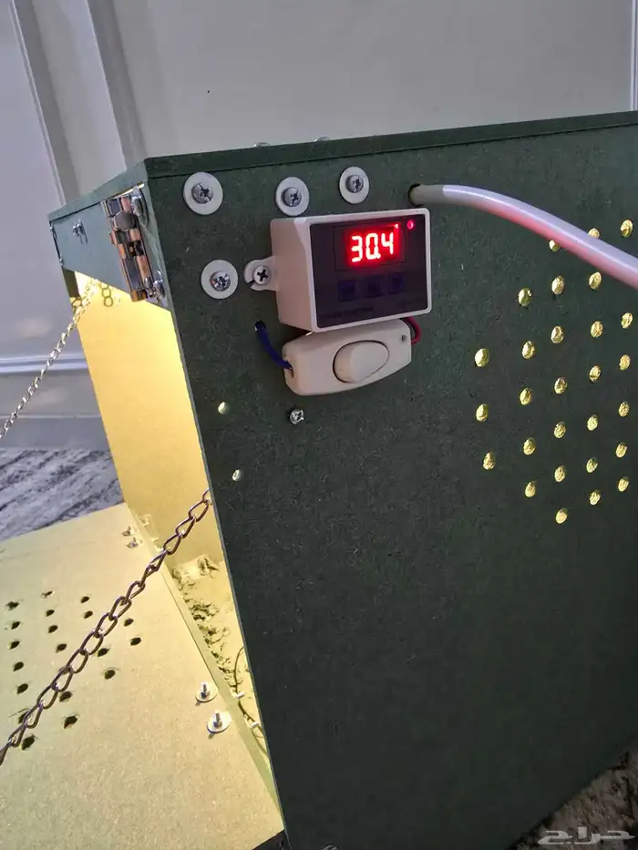 حضانة فروخ تماتيك ( روز كنيور كاسكو كروان وغيرها ) 2